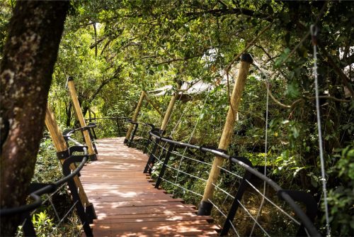 Mara Toto Tree Camp