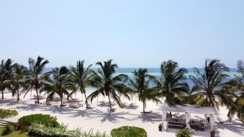 Beach Palazzo