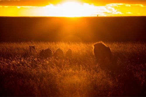 Mara Expedition Camp