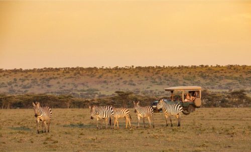 Mara Expedition Camp