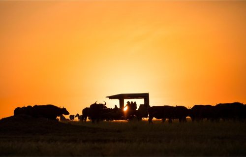 Mara Expedition Camp