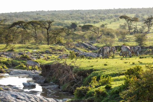Mara Expedition Camp
