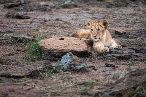 Mara Expedition Camp