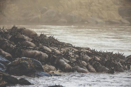 Mara Expedition Camp