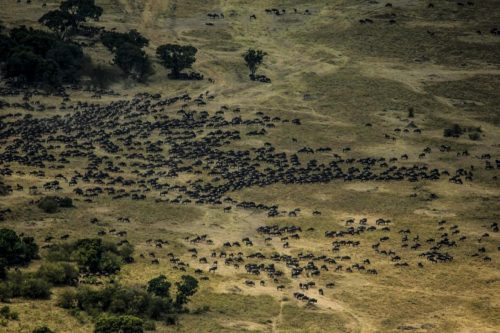 Mara Expedition Camp