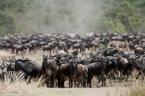 Mara Expedition Camp