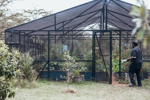 Mara Expedition Camp