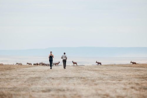 Mara Expedition Camp