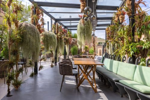 Tribe Hotel